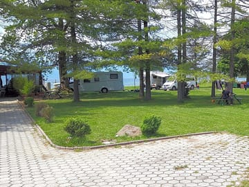 Looking across the park