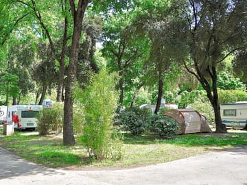 Pitches sheltered by trees