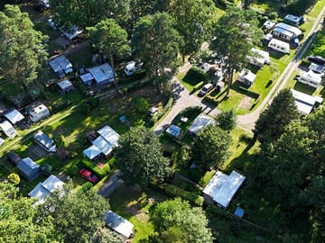 Pitches among the trees