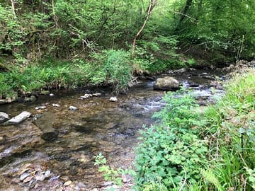 Northwick rhyne runs through the site