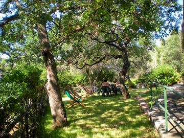 Shaded spots on site