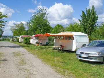 Tree-backed pitches