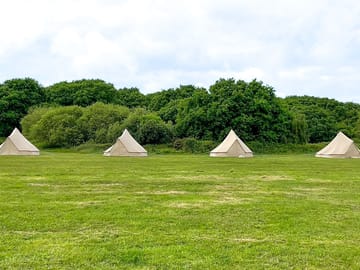 Plenty of space between the bell tents to park your car
