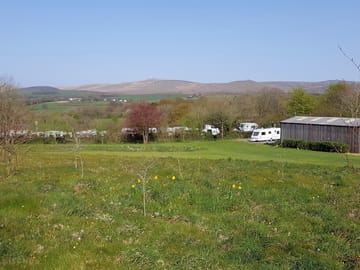 Grass pitch