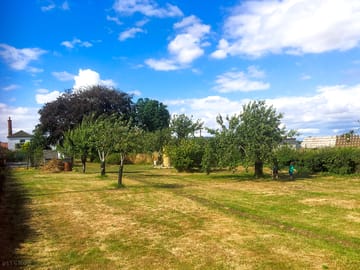 Orchard pitches