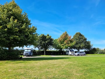 Plenty of open grass areas