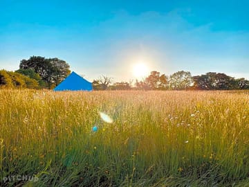 Late afternoon sunshine over the bell tents