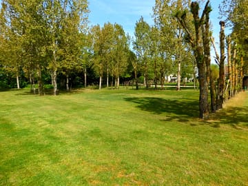 Pitch among the trees