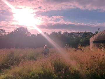 Evening skies