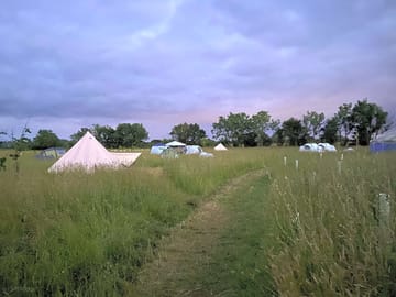 Cmping meadow