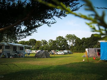 Tree-lined camping area