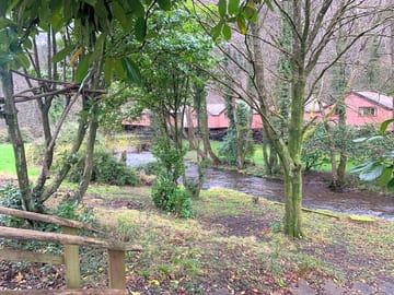 Lodges among the trees