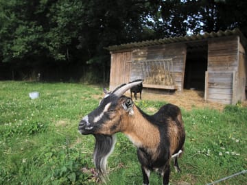 Small on-site farm