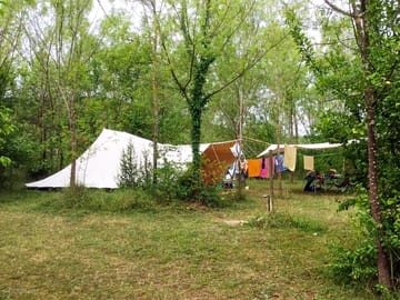 Large pitches under the trees
