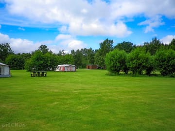 The central field