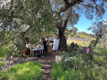 Outdoor kitchen