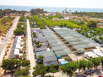 Aerial view of site
