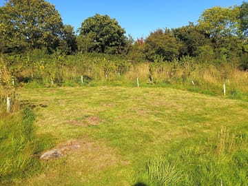 Grass and gravel tent pitch