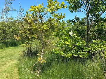 Access into a secluded pitch