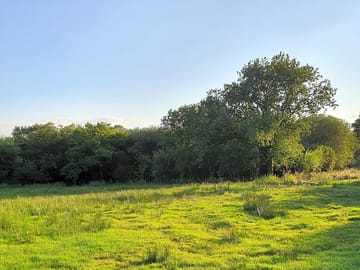 Pentre dolau in summer