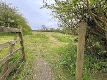 Grass pitches