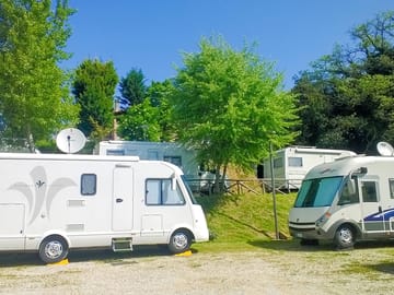 View of the site