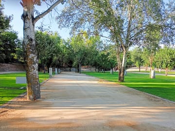 Pitches shaded by trees