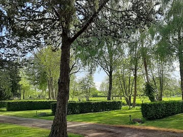 Pitches under the trees