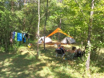 Pitches under the trees