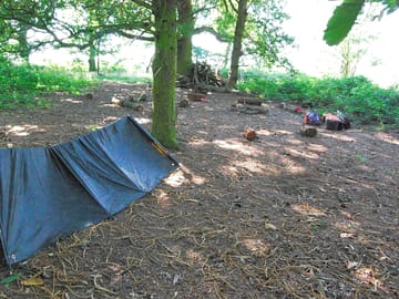 Woodland camp