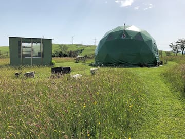 Nestled in the meadow