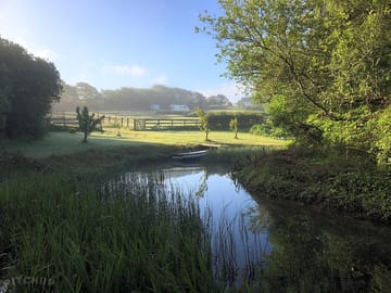 Early morning by the pond