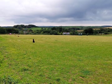 The field