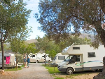 Large pitches between the trees