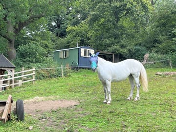 Woodkeepers hut & dolly