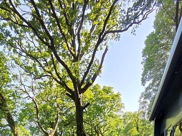 Pod deck area