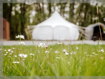 Bell tent