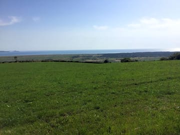 Scenery from the site