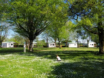 Shaded pitches