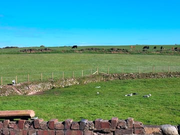 The farm site