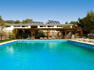 The pool
