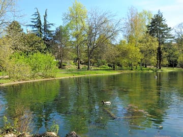 Lovely surroundings