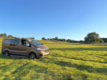 Pitch on the site