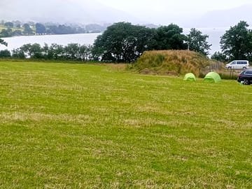 Grassy pitches