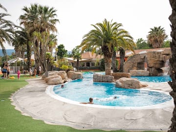 Palm trees by the pool