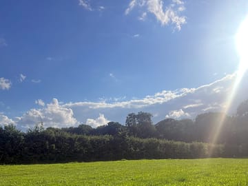 Campervan field