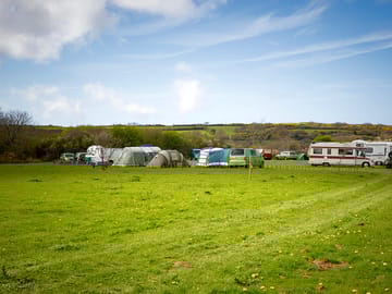 Plenty of room in the meadow