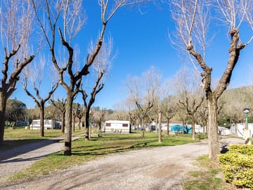Plots in winter