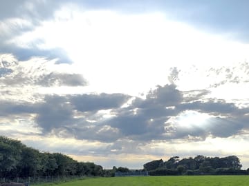 Grass pitches
