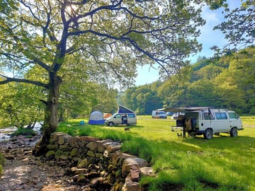 Tent field photo